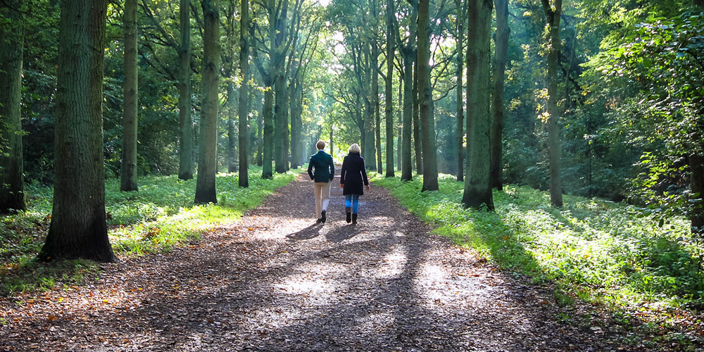 Two people walking on forest path